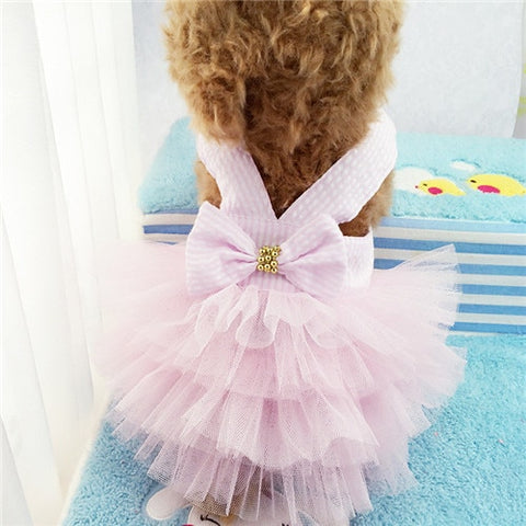 Fashion Designer Dog Sling Lace Tullie Dress