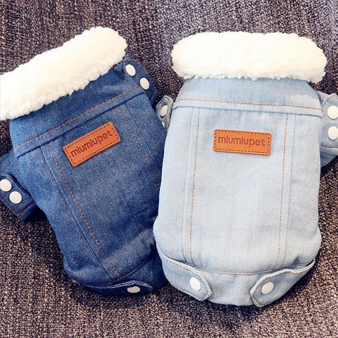 Luxury Fashion Denim Dog/Cat Winter Jacket