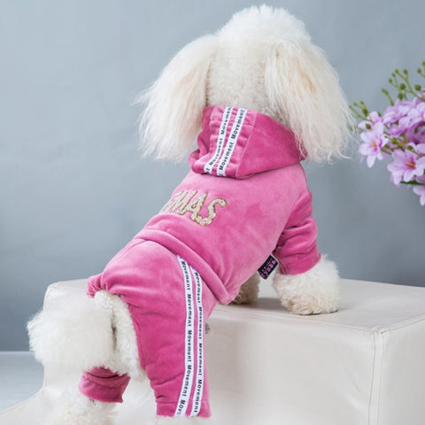 Dog Fashion Designer letter Hoodie Sweatshirt Four seasons Bodysuit