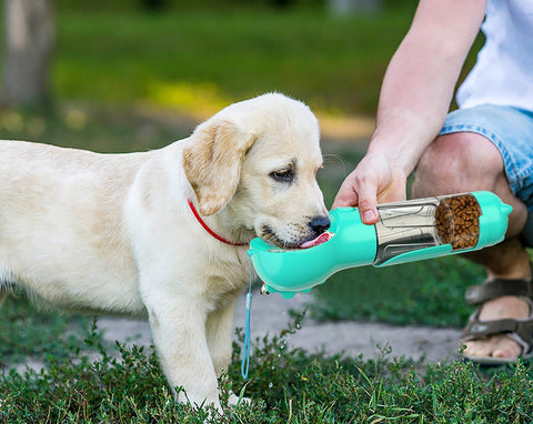 Cat/Dog Water Bottle Feeder Bowl