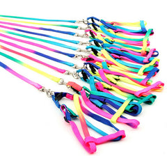 Colorful Sturdy Rainbow Nylon Dog Harness Leash Set