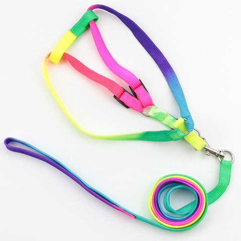 Colorful Sturdy Rainbow Nylon Dog Harness Leash Set