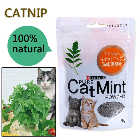 Menthol Flavor Cat Mint  Organic High Quality Natural Digestive