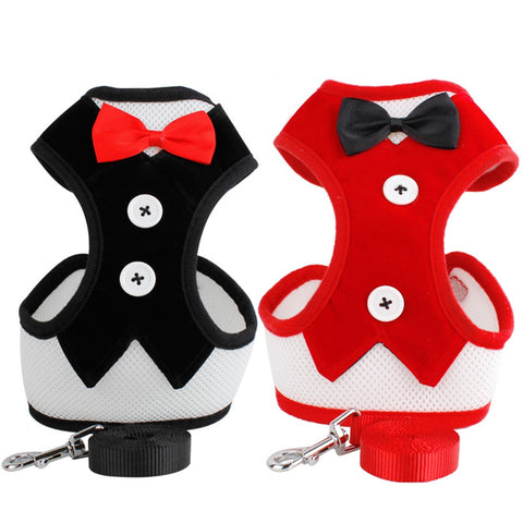 Mesh Small Dog Harness