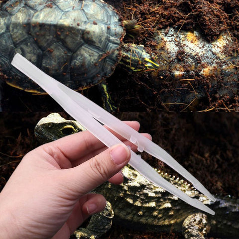 Reptile Tweezers