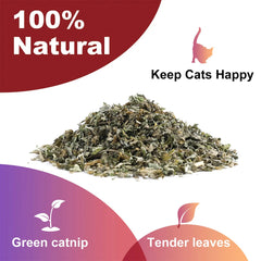 Pet's Cat Premium Catnip-20g Jar of High Potency Catnip,100% Natural & Chemical-Free,Safe for All Cat Ages