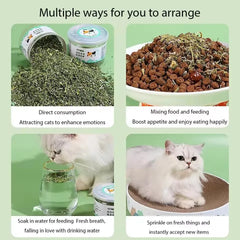 Pet's Cat Premium Catnip-20g Jar of High Potency Catnip,100% Natural & Chemical-Free,Safe for All Cat Ages