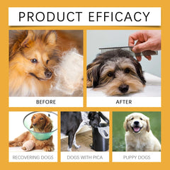 Dog Health Support Drops Anti-Allergy Relieves Discomfort Balanced Formula Supports Immunity Enhances Vitality Pet Supplement