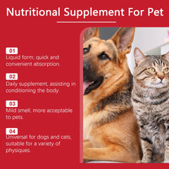 Nutritional Supplement Liquid Boost Pets' Immune System Suitable Dogs Cats Palatable Balanced Formula Gentle Absorbed Daily Care