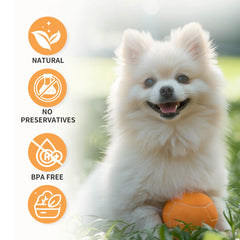 GJYC PET Premium Pet Hair Essential Oil Spray Deep Nourishment Radiant Shine Effortless Detangling For Dogs Cats