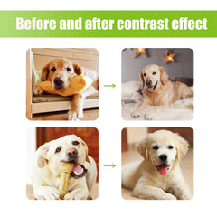 Premium Cat Deterrent Spray Pet Restricted Area Spray Repel Cats And Dogs From Urinating And Defecating Everywhere