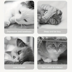 1pc Interactive Cat & Dog Toy - Durable Bite-Resistant Design, Hiding Food & Grinding Teeth Entertainment for Small Pets