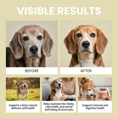 Dog Supplements 100g Skin Dryness Itching Relief Puppy Health Care Supplies Skin and Coat Dog Supplements for Small Medium Large