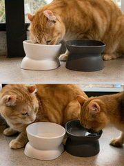 1Pc Pet bowl, water and food feeder, for cat and small dog