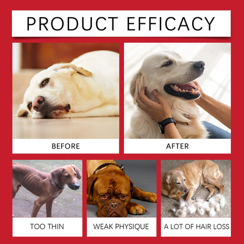 Nutritional Supplement Liquid Boost Pets' Immune System Suitable Dogs Cats Palatable Balanced Formula Gentle Absorbed Daily Care