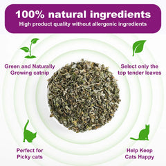 Pet's Cat Premium Catnip-20g Jar of High Potency Catnip,100% Natural & Chemical-Free,Safe for All Cat Ages