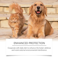 Nutritional Supplement Liquid Boost Pets' Immune System Suitable Dogs Cats Palatable Balanced Formula Gentle Absorbed Daily Care