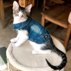Fashion/ Designer Denim Cat Coat Jacket Warm