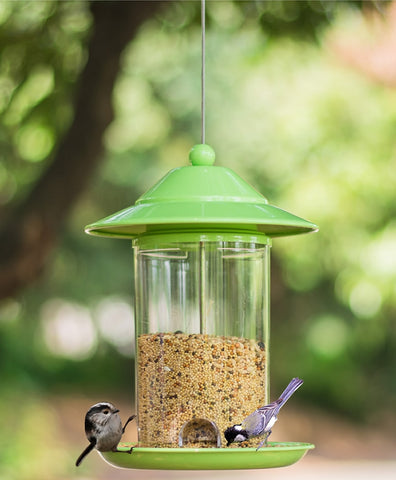 Bird Feeder Outdoor Pet Wild Food Container Park Garden Home Rearing Holder Birds Supplies Organic Glass
