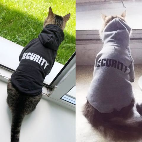 Cat Comfy Security Hoodie