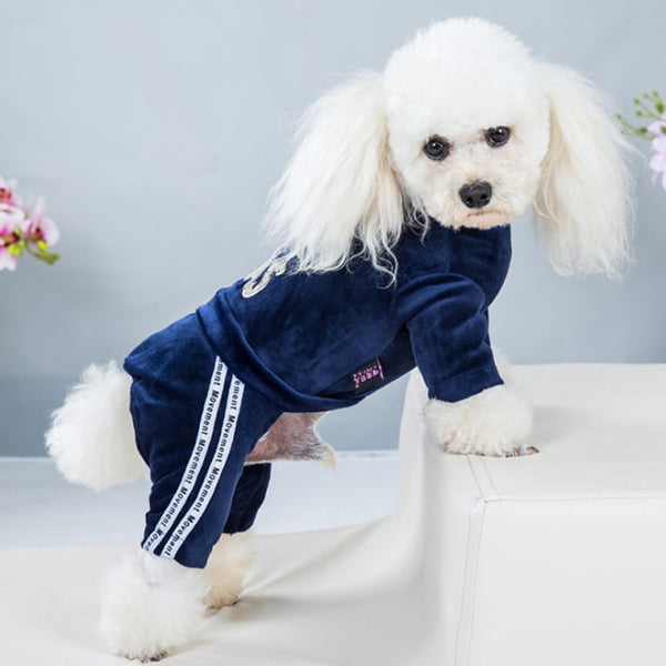 Dog Fashion Designer letter Hoodie Sweatshirt Four seasons Bodysuit