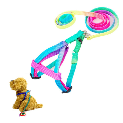 Colorful Sturdy Rainbow Nylon Dog Harness Leash Set