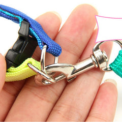 Colorful Sturdy Rainbow Nylon Dog Harness Leash Set