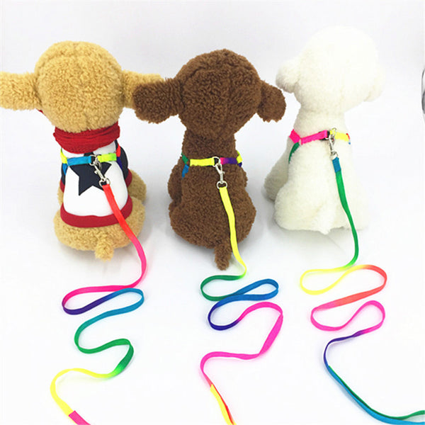 Colorful Sturdy Rainbow Nylon Dog Harness Leash Set – Shop With Pets R Us