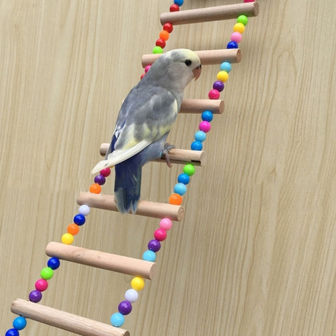 Bird/ Parrot Ladder