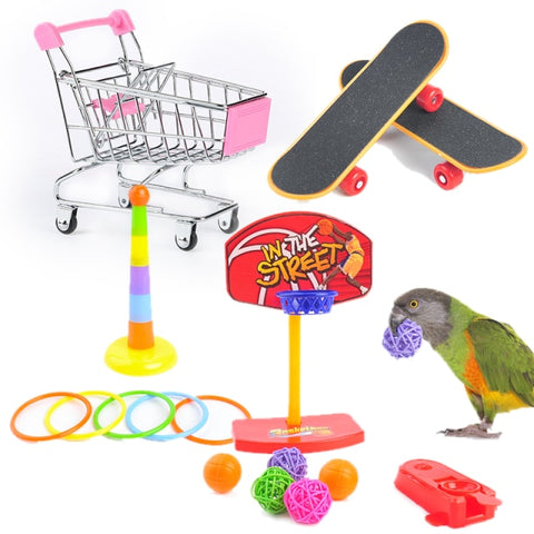 Set of Bird/ Parrot Interactive Toys