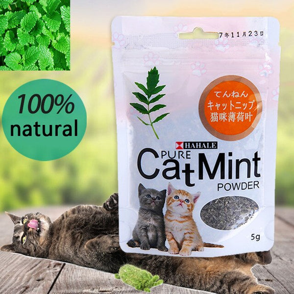 Menthol Flavor Cat Mint  Organic High Quality Natural Digestive