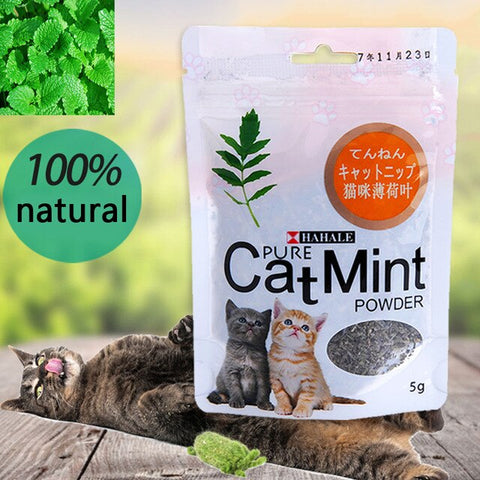 Menthol Flavor Cat Mint  Organic High Quality Natural Digestive
