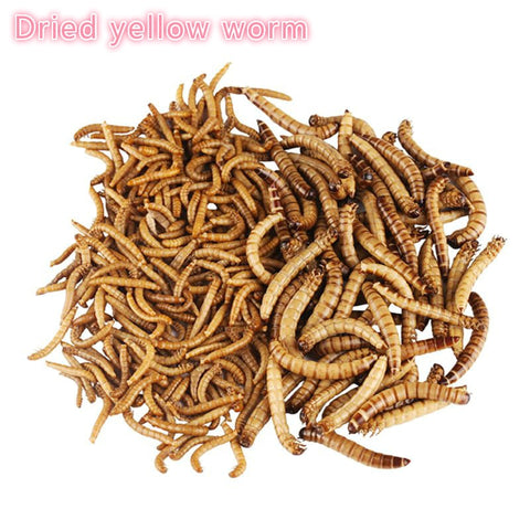 50/100/200g Natural Dried Mealworm Bird food